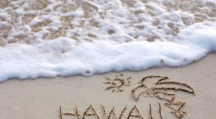 Hawaii-kostumer – til rejse og fester Hawaii