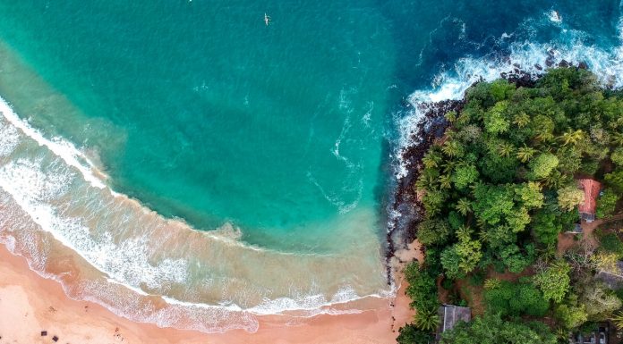Hvorfor rejse til Sri Lanka? Sri Lanka